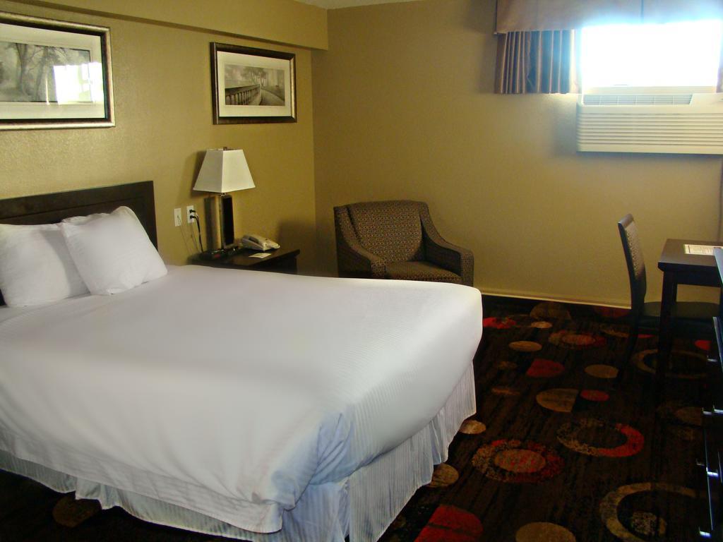 Stonebridge Hotel Fort Mcmurray Oda fotoğraf